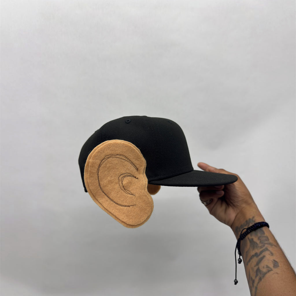 'Noisy' Snapback